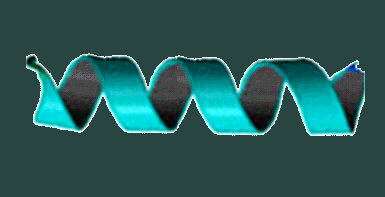 img1.gif
