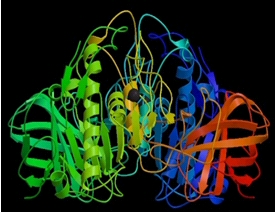 lipase.jpg