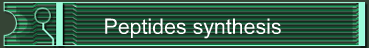 Peptides synthesis